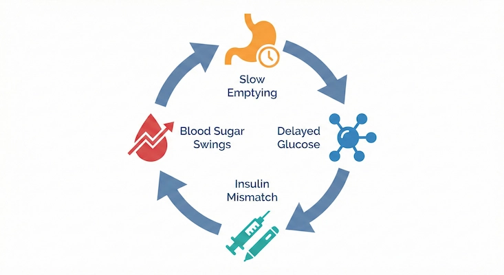Simple cycle of gastroparesis and blood sugar interaction