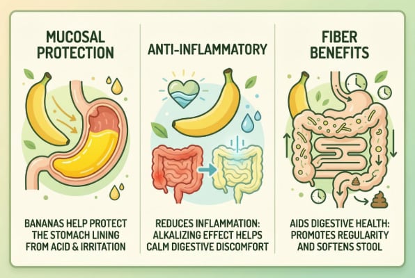 Banana benefits for digestive health