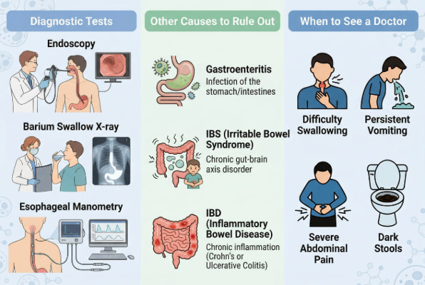 Diagnosing hiatal hernia and ruling out other digestive conditions