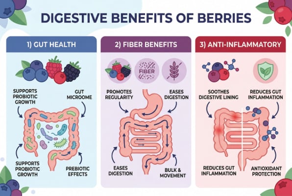 Science-backed digestive benefits of berries