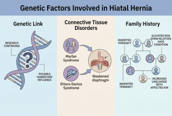 Genetic factors and family history in hiatal hernia