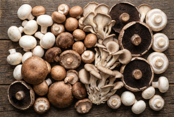 Variety of fresh mushrooms