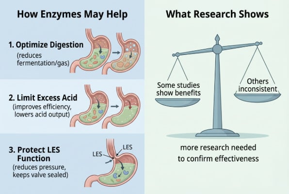 Do digestive enzymes help with heartburn