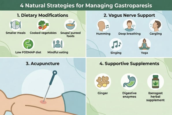 Natural strategies for managing gastroparesis