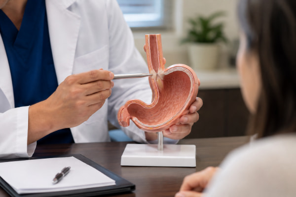 Surgeon comparing LINX and fundoplication options using an anatomy model during a consultation